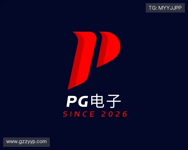 了解PG电子